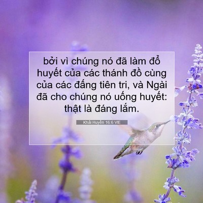 Picture 07 - Khải Huyền 16:6 VIE - bởi vì chúng nó đã làm đổ huyết - Bible Verse Picture