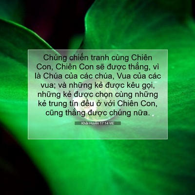 Picture 07 - Khải Huyền 17:14 VIE - Chúng chiến tranh cùng Chiên Con, Chiên Con - Bible Verse Picture