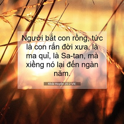 Picture 07 - Khải Huyền 20:2 VIE - Người bắt con rồng, tức là con rắn - Bible Verse Picture