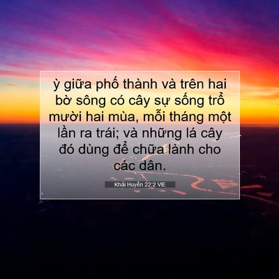Picture 07 - Khải Huyền 22:2 VIE - ỳ giữa phố thành và trên hai bờ sông - Bible Verse Picture