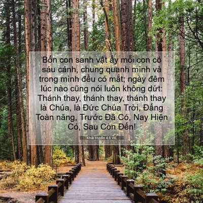 Picture 07 - Khải Huyền 4:8 VIE - Bốn con sanh vật ấy mỗi con có sáu - Bible Verse Picture