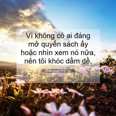 Picture 07 - Khải Huyền 5:4 VIE - Vì không có ai đáng mở quyển sách ấy - Bible Verse Picture