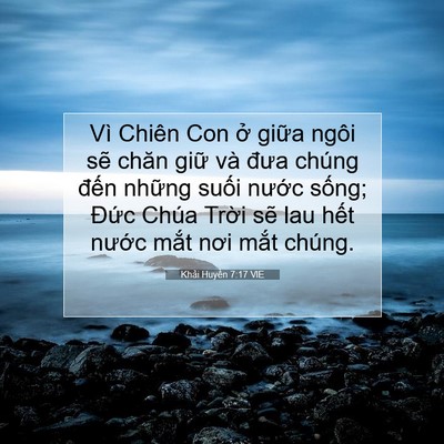 Picture 07 - Khải Huyền 7:17 VIE - Vì Chiên Con ở giữa ngôi sẽ chăn giữ - Bible Verse Picture