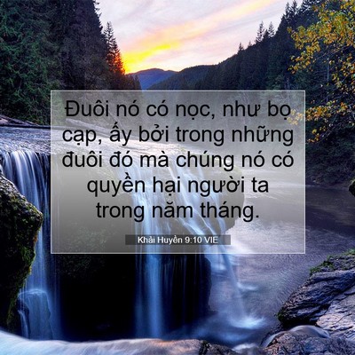 Picture 07 - Khải Huyền 9:10 VIE - Đuôi nó có nọc, như bọ cạp, ấy bởi - Bible Verse Picture