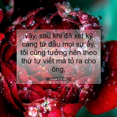 Picture 07 - Lu-ca 1:3 VIE - vậy, sau khi đã xét kỹ càng từ đầu - Bible Verse Picture