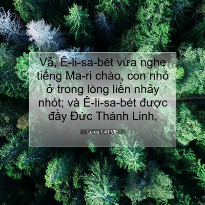 Picture 07 - Lu-ca 1:41 VIE - Vả, Ê-li-sa-bét vừa nghe tiếng Ma-ri - Bible Verse Picture