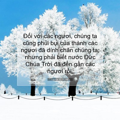 Picture 07 - Lu-ca 10:11 VIE - Đối với các ngươi, chúng ta cũng phủi - Bible Verse Picture