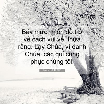 Picture 07 - Lu-ca 10:17 VIE - Bảy mươi môn đồ trở về cách vui - Bible Verse Picture