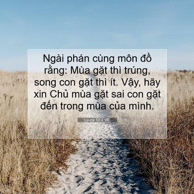 Picture 07 - Lu-ca 10:2 VIE - Ngài phán cùng môn đồ rằng: Mùa gặt - Bible Verse Picture