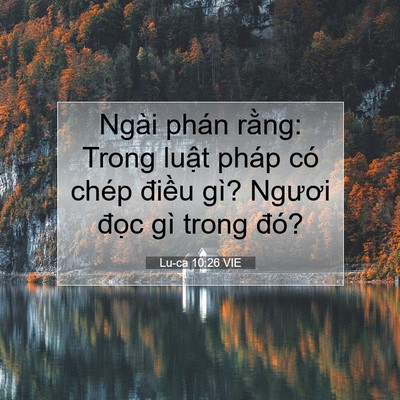 Picture 07 - Lu-ca 10:26 VIE - Ngài phán rằng: Trong luật pháp có chép - Bible Verse Picture