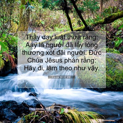 Picture 07 - Lu-ca 10:37 VIE - Thầy dạy luật thưa rằng: Aáy là - Bible Verse Picture