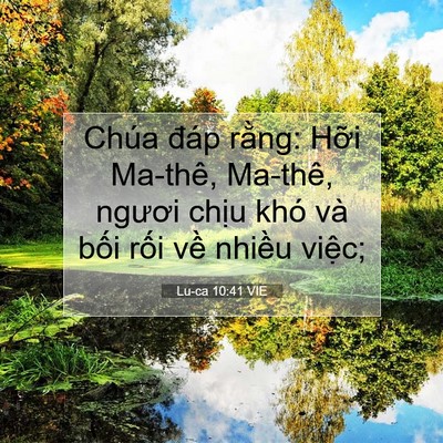 Picture 07 - Lu-ca 10:41 VIE - Chúa đáp rằng: Hỡi Ma-thê, Ma-thê, - Bible Verse Picture