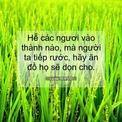 Picture 07 - Lu-ca 10:8 VIE - Hễ các ngươi vào thành nào, mà người - Bible Verse Picture