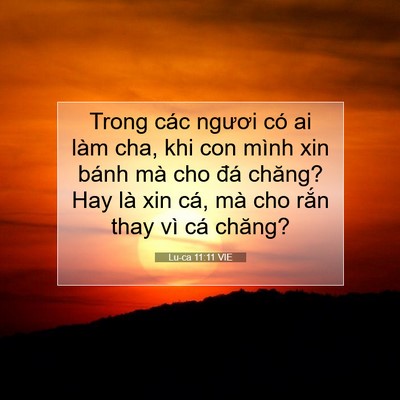 Picture 07 - Lu-ca 11:11 VIE - Trong các ngươi có ai làm cha, khi con mình - Bible Verse Picture