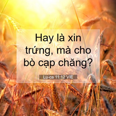 Picture 07 - Lu-ca 11:12 VIE - Hay là xin trứng, mà cho bò cạp - Bible Verse Picture