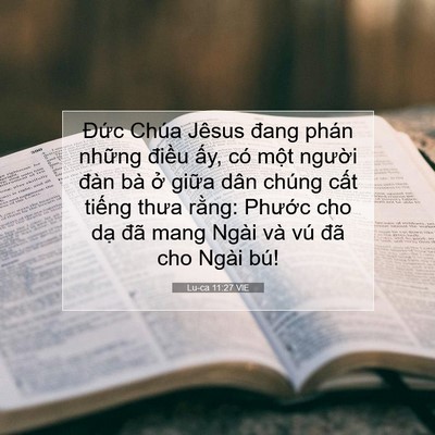 Picture 07 - Lu-ca 11:27 VIE - Đức Chúa Jêsus đang phán những điều - Bible Verse Picture