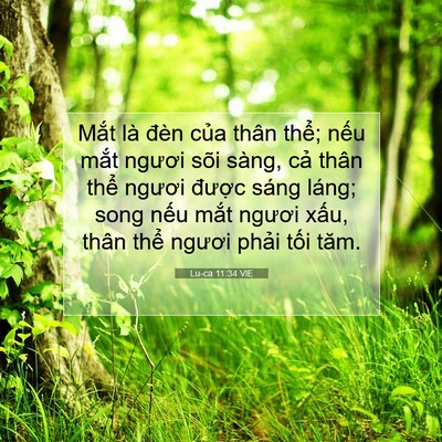 Picture 07 - Lu-ca 11:34 VIE - Mắt là đèn của thân thể; nếu mắt - Bible Verse Picture
