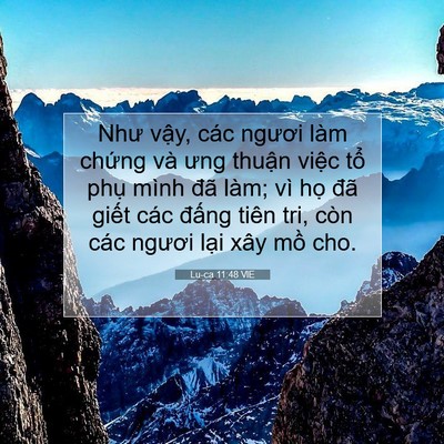 Picture 07 - Lu-ca 11:48 VIE - Như vậy, các ngươi làm chứng và ưng - Bible Verse Picture