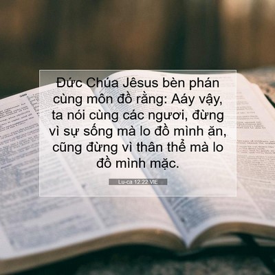 Picture 07 - Lu-ca 12:22 VIE - Đức Chúa Jêsus bèn phán cùng môn đồ - Bible Verse Picture