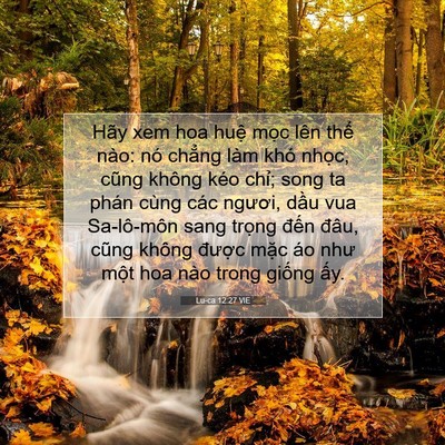 Picture 07 - Lu-ca 12:27 VIE - Hãy xem hoa huệ mọc lên thể nào: nó - Bible Verse Picture