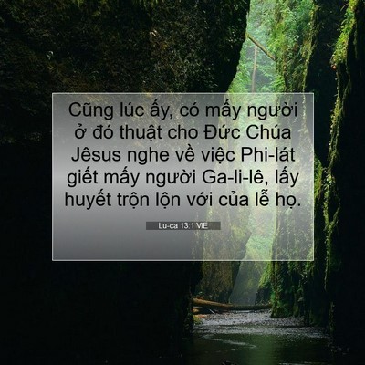 Picture 07 - Lu-ca 13:1 VIE - Cũng lúc ấy, có mấy người ở đó - Bible Verse Picture