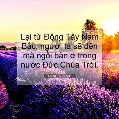 Picture 07 - Lu-ca 13:29 VIE - Lại từ Đông Tây Nam Bắc, người ta - Bible Verse Picture