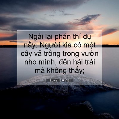 Picture 07 - Lu-ca 13:6 VIE - Ngài lại phán thí dụ nầy: Người kia - Bible Verse Picture