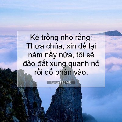 Picture 07 - Lu-ca 13:8 VIE - Kẻ trồng nho rằng: Thưa chúa, xin để - Bible Verse Picture