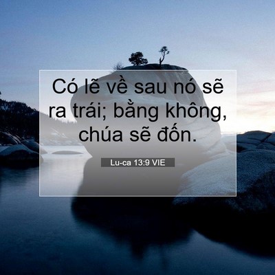 Picture 07 - Lu-ca 13:9 VIE - Có lẽ về sau nó sẽ ra trái; bằng - Bible Verse Picture
