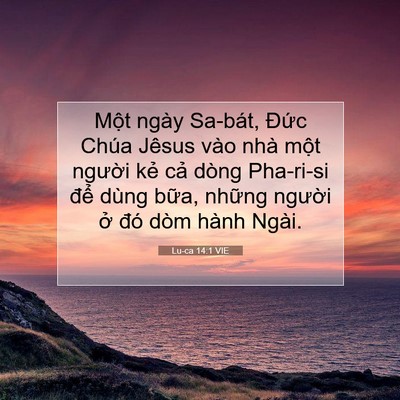 Picture 07 - Lu-ca 14:1 VIE - Một ngày Sa-bát, Đức Chúa Jêsus vào - Bible Verse Picture