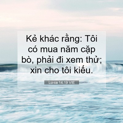 Picture 07 - Lu-ca 14:19 VIE - Kẻ khác rằng: Tôi có mua năm cặp bò, - Bible Verse Picture