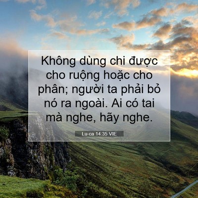 Picture 07 - Lu-ca 14:35 VIE - Không dùng chi được cho ruộng hoặc cho - Bible Verse Picture