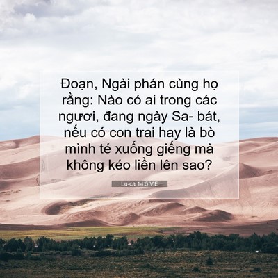Picture 07 - Lu-ca 14:5 VIE - Đoạn, Ngài phán cùng họ rằng: Nào có - Bible Verse Picture