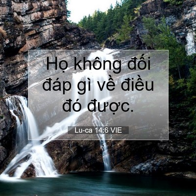 Picture 07 - Lu-ca 14:6 VIE - Họ không đối đáp gì về điều đó - Bible Verse Picture