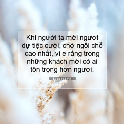 Picture 07 - Lu-ca 14:8 VIE - Khi người ta mời ngươi dự tiệc - Bible Verse Picture
