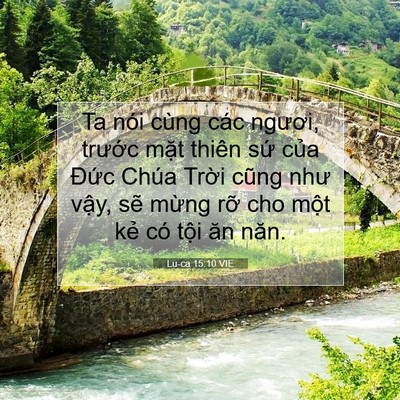 Picture 07 - Lu-ca 15:10 VIE - Ta nói cùng các ngươi, trước mặt thiên - Bible Verse Picture