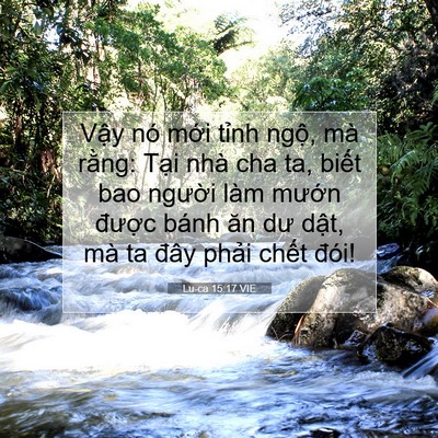 Picture 07 - Lu-ca 15:17 VIE - Vậy nó mới tỉnh ngộ, mà rằng: Tại - Bible Verse Picture