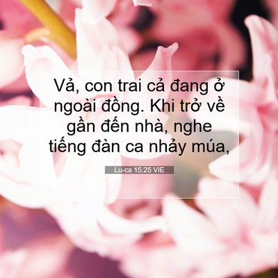 Picture 07 - Lu-ca 15:25 VIE - Vả, con trai cả đang ở ngoài đồng. Khi - Bible Verse Picture