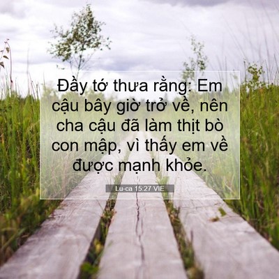 Picture 07 - Lu-ca 15:27 VIE - Đầy tớ thưa rằng: Em cậu bây giờ - Bible Verse Picture