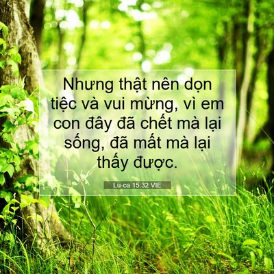 Picture 07 - Lu-ca 15:32 VIE - Nhưng thật nên dọn tiệc và vui mừng, - Bible Verse Picture