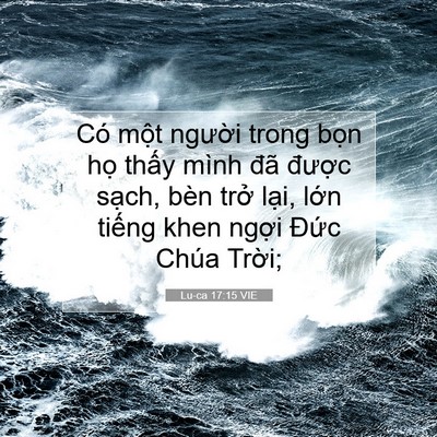 Picture 07 - Lu-ca 17:15 VIE - Có một người trong bọn họ thấy mình - Bible Verse Picture