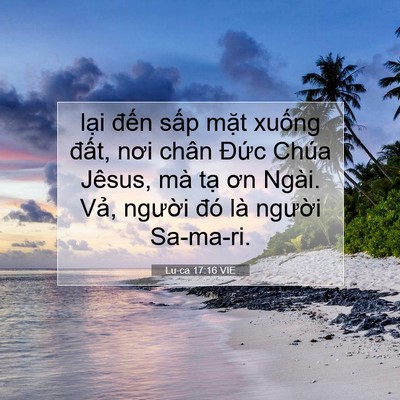 Picture 07 - Lu-ca 17:16 VIE - lại đến sấp mặt xuống đất, nơi - Bible Verse Picture
