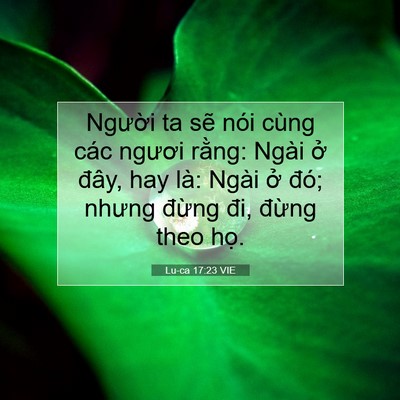 Picture 07 - Lu-ca 17:23 VIE - Người ta sẽ nói cùng các ngươi rằng: - Bible Verse Picture