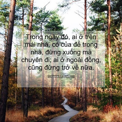 Picture 07 - Lu-ca 17:31 VIE - Trong ngày đó, ai ở trên mái nhà, có - Bible Verse Picture