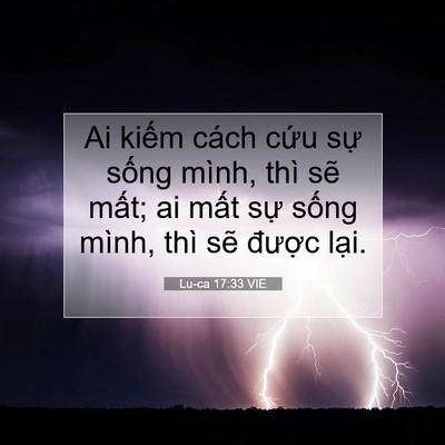 Picture 07 - Lu-ca 17:33 VIE - Ai kiếm cách cứu sự sống mình, thì - Bible Verse Picture
