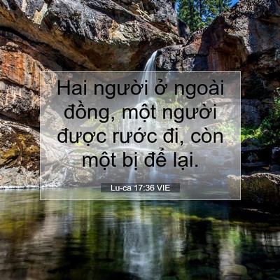 Picture 07 - Lu-ca 17:36 VIE - Hai người ở ngoài đồng, một người - Bible Verse Picture