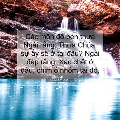 Picture 07 - Lu-ca 17:37 VIE - Các môn đồ bèn thưa Ngài rằng: Thưa - Bible Verse Picture