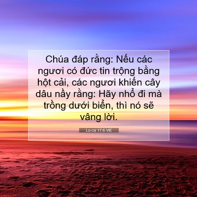 Picture 07 - Lu-ca 17:6 VIE - Chúa đáp rằng: Nếu các ngươi có đức - Bible Verse Picture