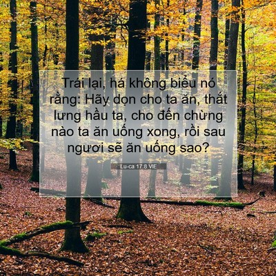 Picture 07 - Lu-ca 17:8 VIE - Trái lại, há không biểu nó rằng: Hãy - Bible Verse Picture