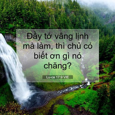Picture 07 - Lu-ca 17:9 VIE - Đầy tớ vâng lịnh mà làm, thì chủ có - Bible Verse Picture